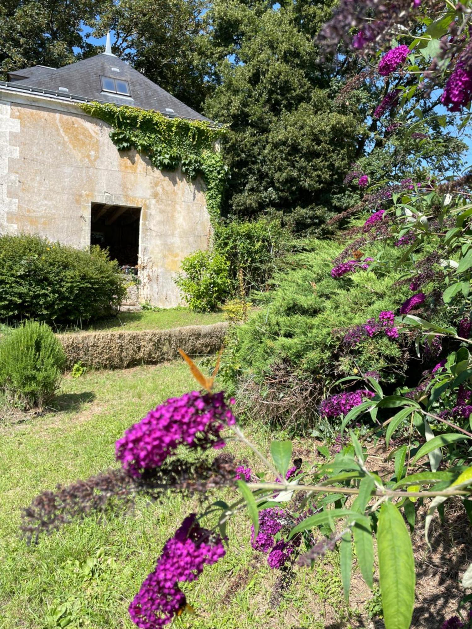 Chateau De La Huberdiere Nazelles-Negron Exteriér fotografie