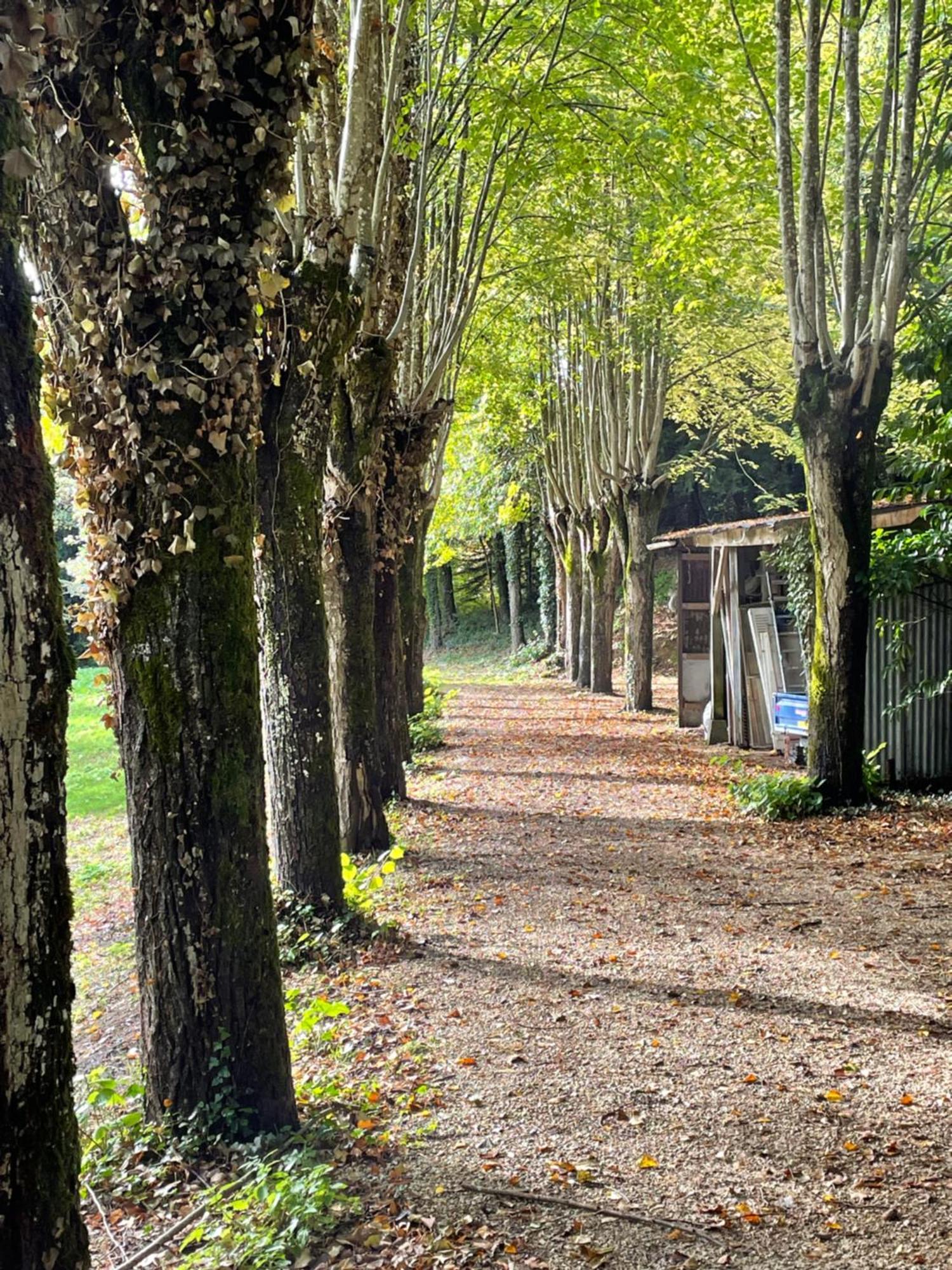 Chateau De La Huberdiere Nazelles-Negron Exteriér fotografie