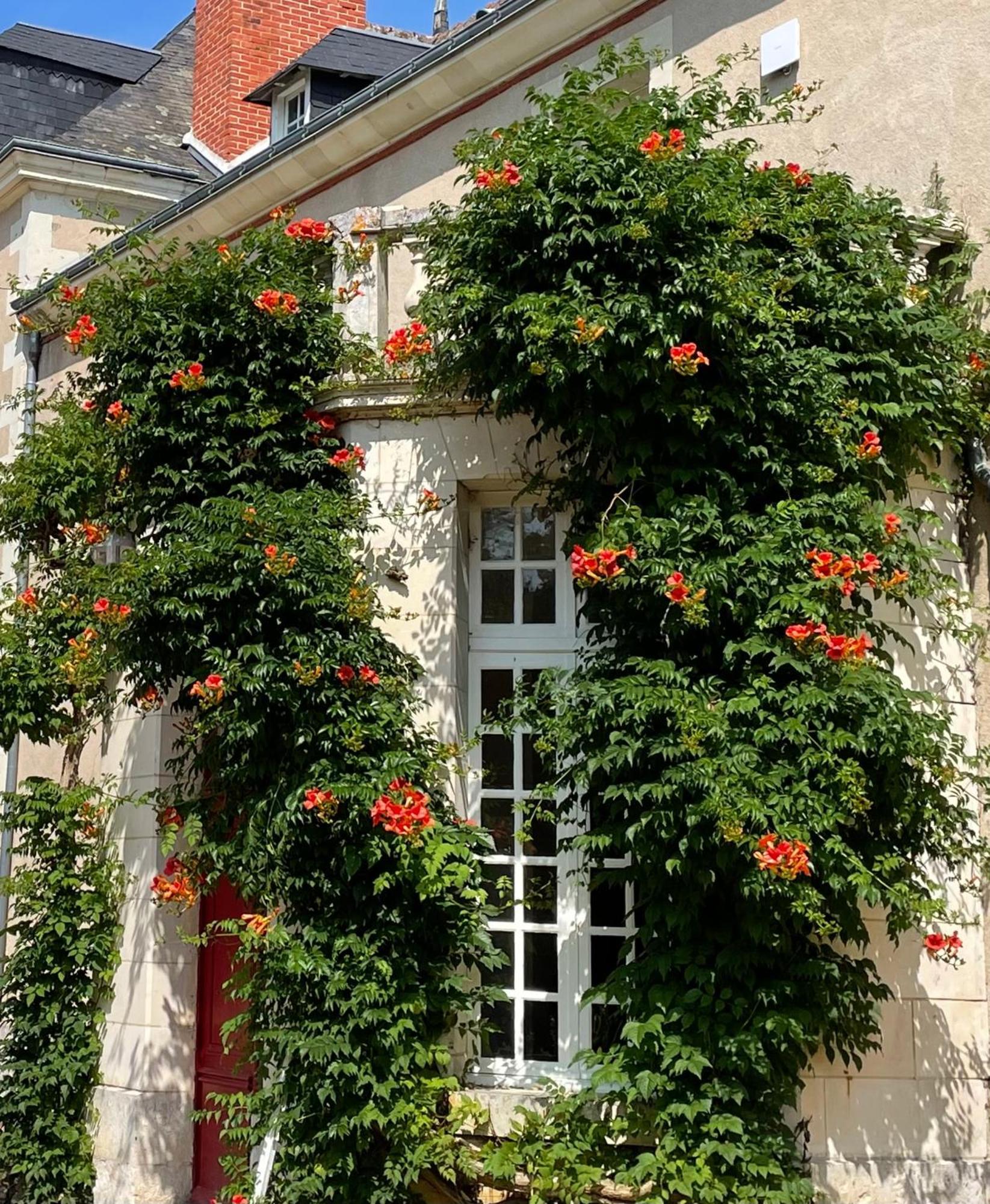 Chateau De La Huberdiere Nazelles-Negron Exteriér fotografie